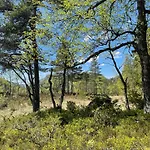 Nordgarden Venkovský dům Handeland (Agder)