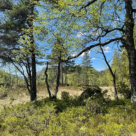 Nordgarden Летний дом Handeland (Agder)