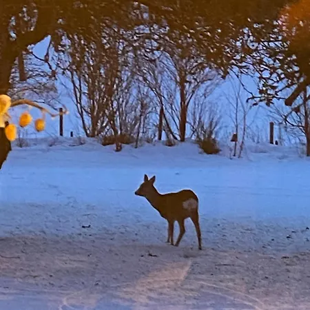 Nordgården Handeland (Agder)