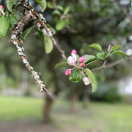Nordgården * Handeland (Agder)